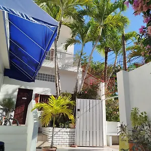 hotel-casa-coco.santodomingobesthotels.com/